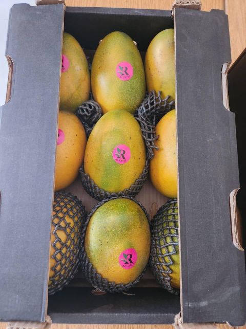 Mangoes 🥭 - Image 4