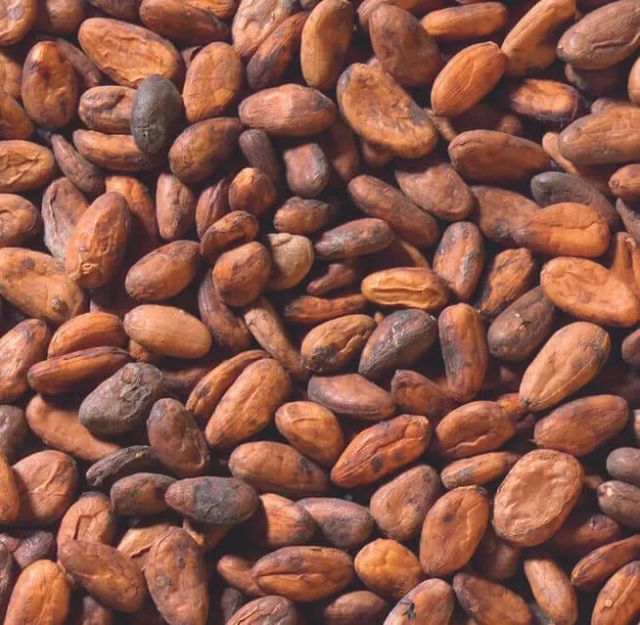 Organic Vietnamese Cocoa Beans Top Quality Chocolate Beans in Bulk Affordable Price Trusted Export Supplier Please whatsap +255787979235 - Image 5
