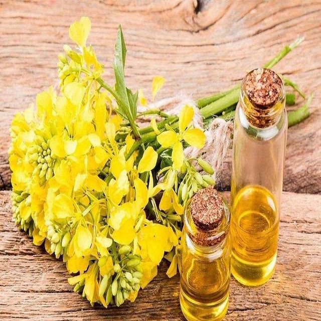 High Quality 100% Purity Refined Canola Oil Excellent Grade Cooking Use 2 Year Shelf Life Normal Temperature Storage - Image 4