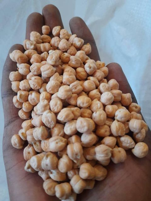 chickpeas - Image 1