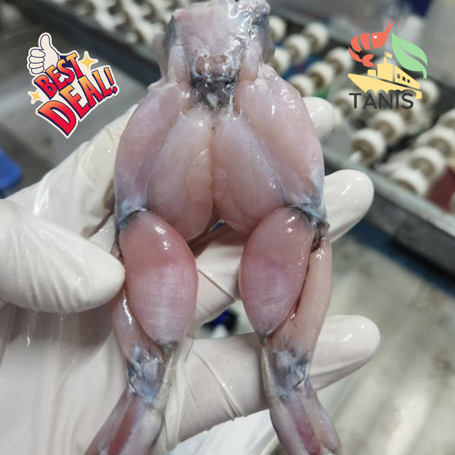 Best Selling Frozen Frog Legs Hoplobatrachus Rugluosus From Vietnam Manufacture - Image 3