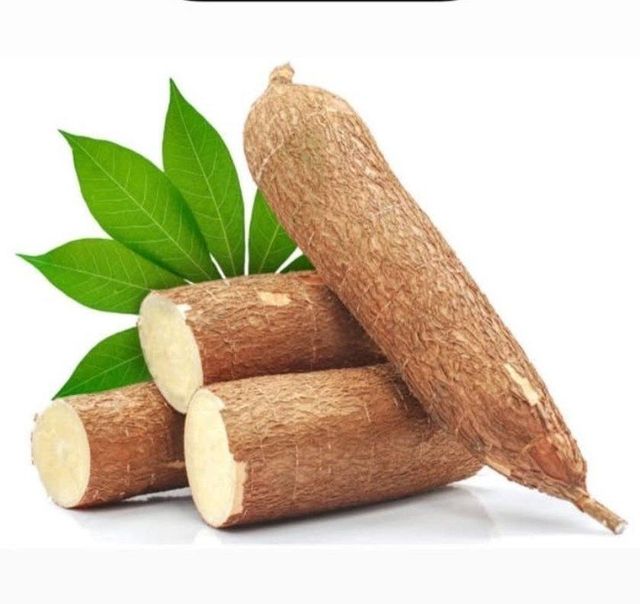 Fresh Cassava - Image 2
