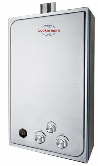 Reasonable Price Advanced Technology Forced Exhaust Gas Water Heater - Image 5
