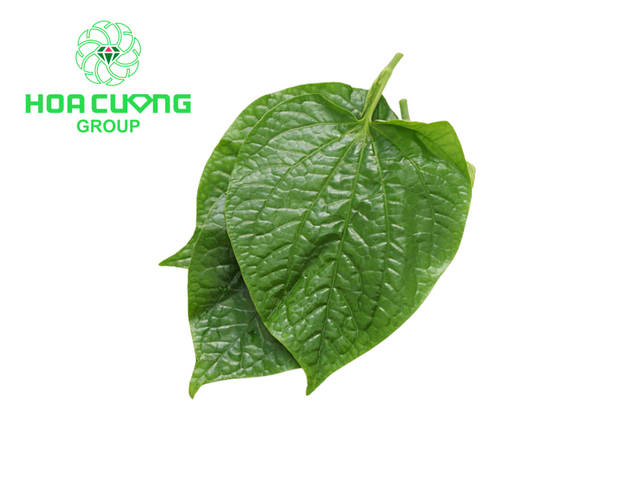 Frozen Wild Betel Leaves - Image 2