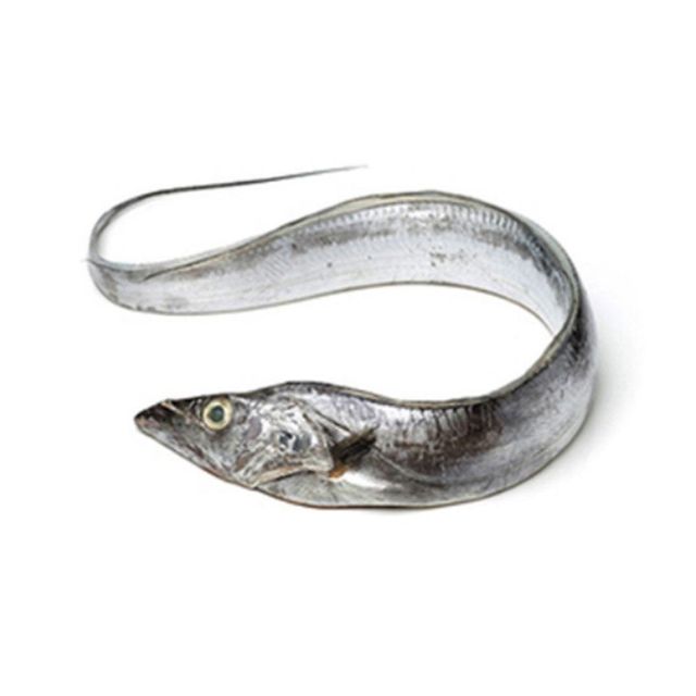 Frozen Ribbon Fish Professionally Frozen Marine Selection Ensuring Fresh Quality Standards For Seafood Importers - Image 1