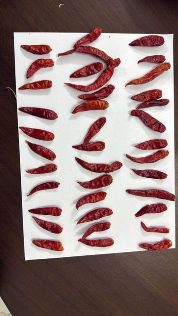 DRIED RED CHILLI HYBRID - Image 1