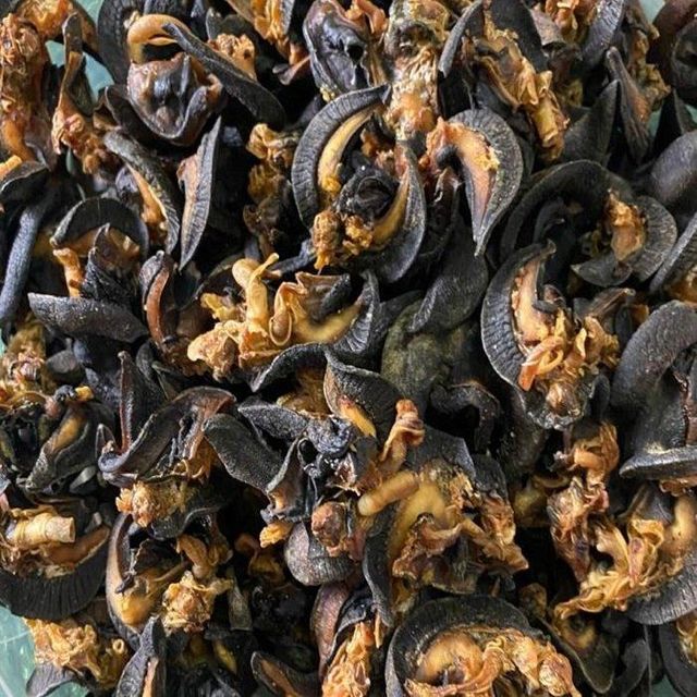 100% High Quality Edible Snails Dries Snails Giant African Land Snails for Sale Dried at Cheap Price - Image 4