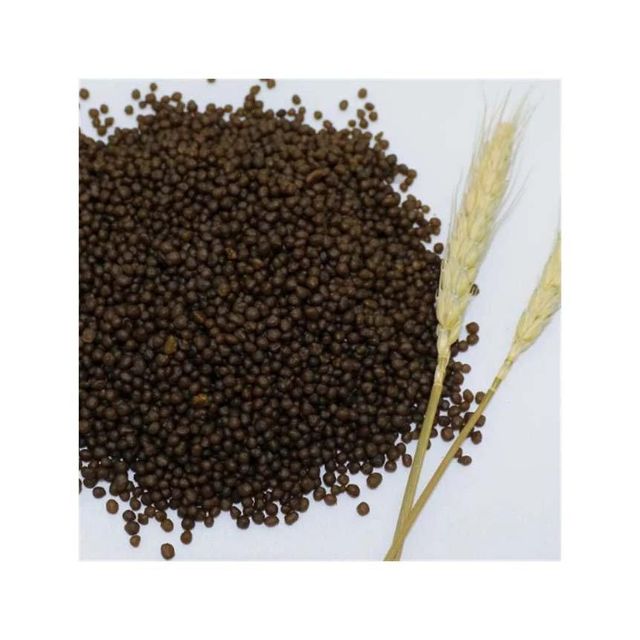 Diammonium Phosphate – DAP Form Liquid Intended Use Lawn Fertilizer Nitrogen Features Long-Term Effect - Image 3