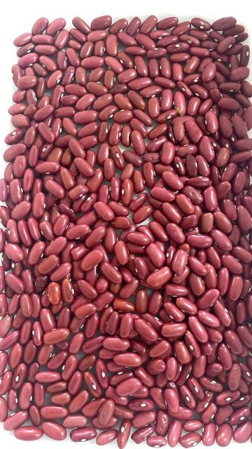 RED KIDNEY - Image 1
