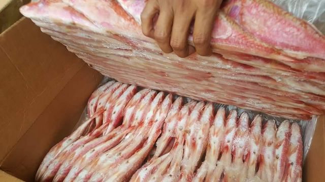 red mullet Color Red Form Frozen Origin Mauritania Size 100 Gr / 250 Gr Packaging 20 Kg - Image 2