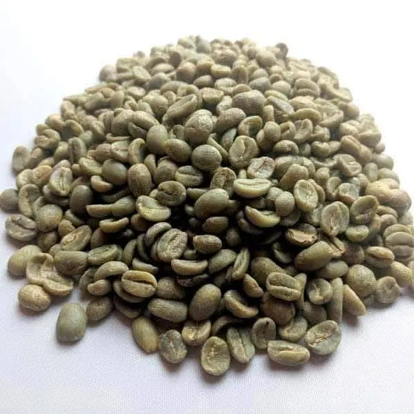 Premium Arabica Coffee Beans Export Quality Wholesale Bulk Supply for Retail and Global Buyers - Image 4