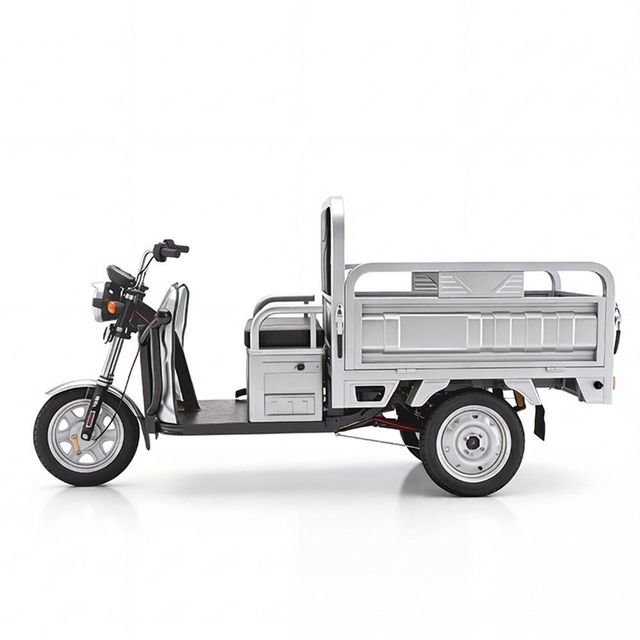 NEW Aldult Electric Fat Tire Scooter Cargo Tricycle 60V20AH 600W Powerful Motor - Image 3