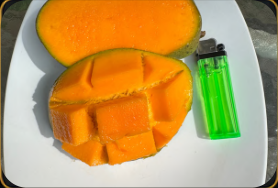Dermayu Mango Grade A Regular Size - Image 6