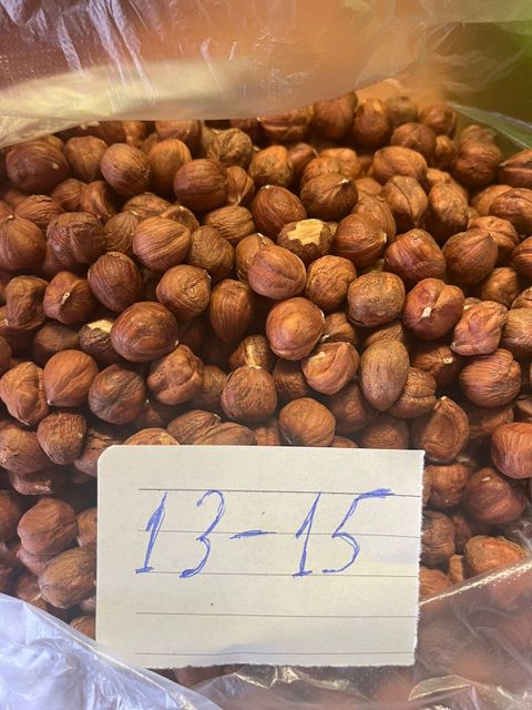 Hazel Nut - Image 3