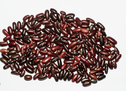 Cheap Wholesale White Kidney Beans in Bulk White Kidney.Best Organic Red Kidney Beans - Premium Wholesale Red Kidney - Image 4