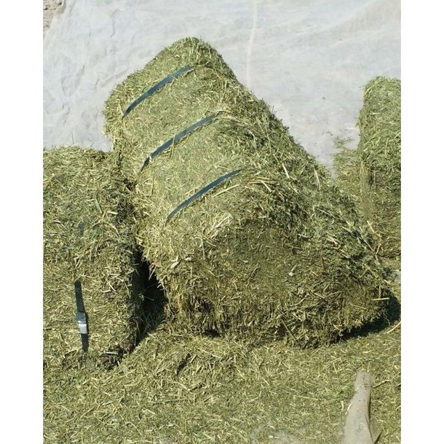 Natural Sun Cured Alfalfa Hay For Cattle Feeding Fresh Green Alfalfa Hay For Livestock Farms Bulk Supply For International Trade - Image 4