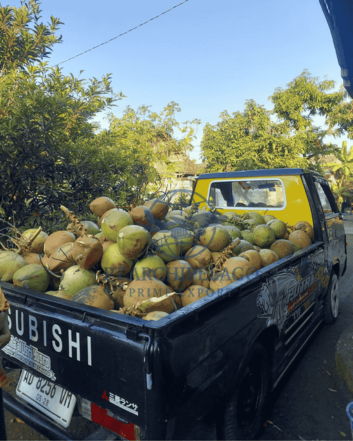 green coconut / fresh coconut / coconut water - Image 4