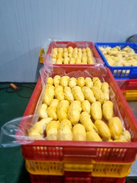 Frozen Durian (Monthong and Ri6) Grade A Type Frozen Place of Origin Vietnam Storage Temperature -18C, -18c Brix Class A 28 Up - Class B 26 Up - Image 3