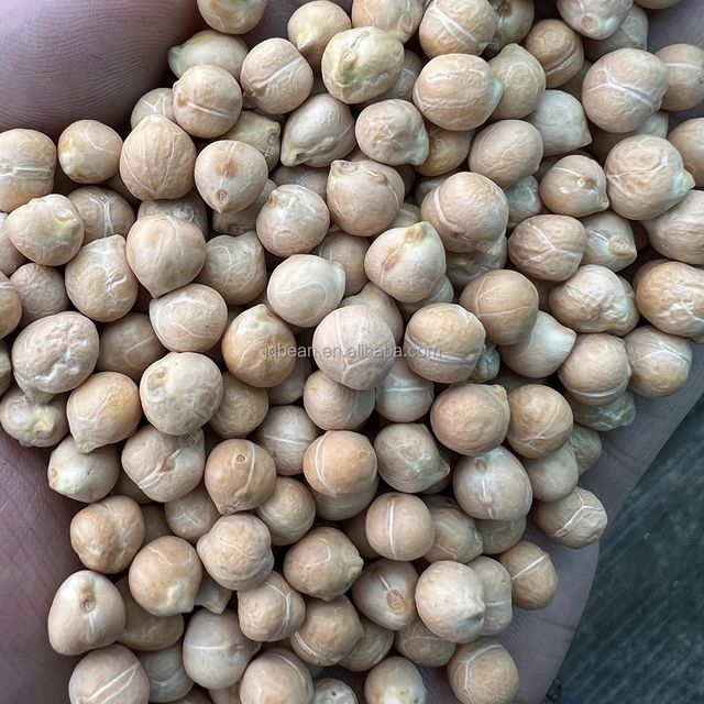 Wholesale Price 25kg 50kg 500g Package 7mm - 9mm Dried Kabuli Garbanzo Beans Chick Pea Chickpeas - Image 3