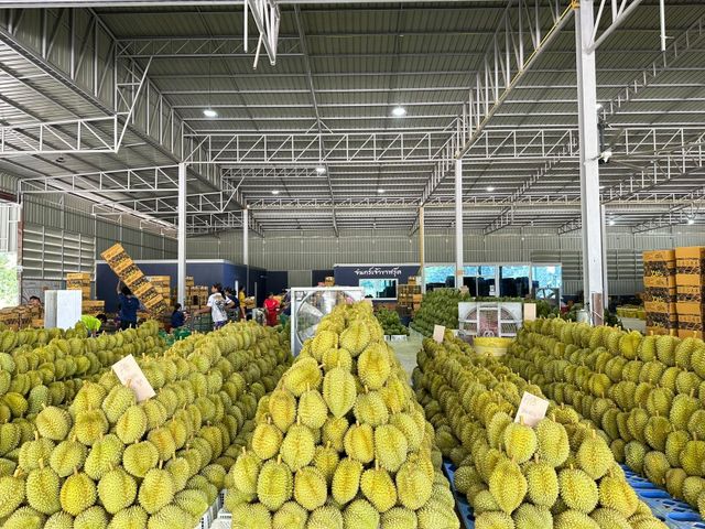 Durian – product photo 3, product detail gallery