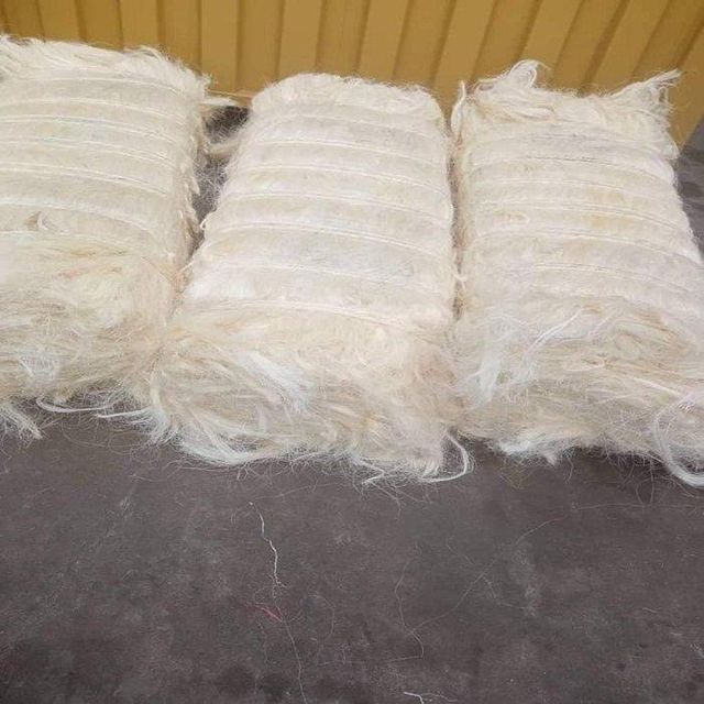 Raw Sisal Fiber Gypsum Hair Bulk Natural Fiber for Spinning Filling and Non Woven Fabric For Sale - Image 3