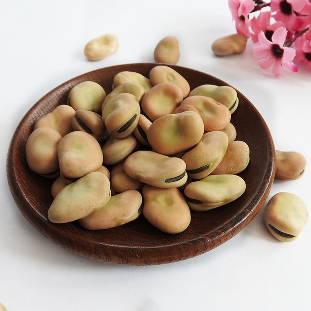 High Quality canned Broad Beans/ Fava Beans With Competitive Price 16mm - Image 2