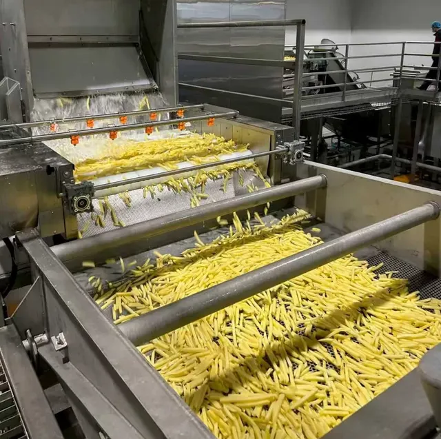 Crispy High Quality Frozen French Fries Factory IQF Vegetable - Image 3