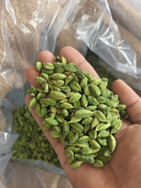 Reliable Supply Green Cardomom Pods Exceptional Aroma Export Quality Vibrant Green Cardamom Spices 7mm-9mm - Image 1