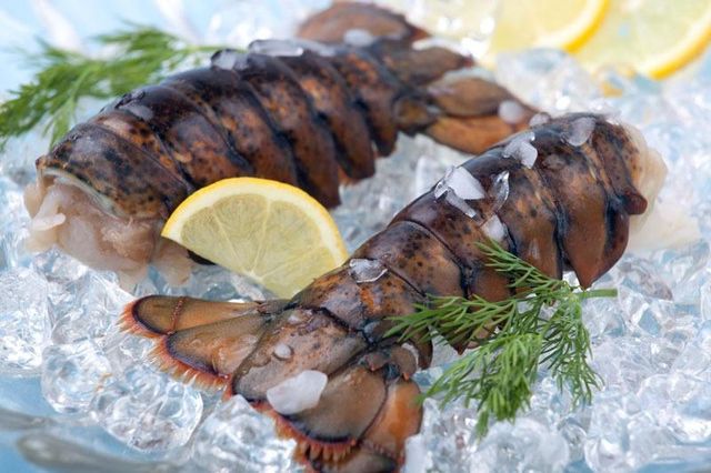 Factory sourced frozen lobster tails available for ongoing bulk demand Bulk supply frozen lobster tails - Image 3
