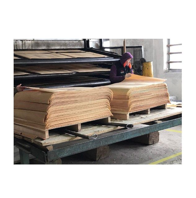 Natural Beech Rotary Cut Veneer Sheets – Furniture Grade Wood Type beech - Image 1