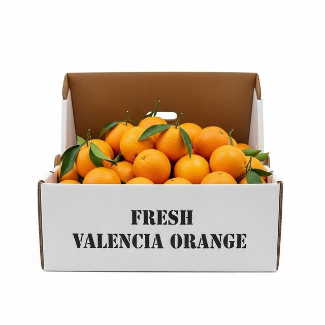 Fresh Valencia Orange Farm Selected Citrus Fruit With Superior Taste Uniform Appearance And Reliable Shipment - Image 3