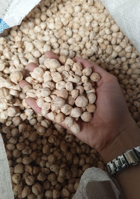 White Cardamom - Image 2