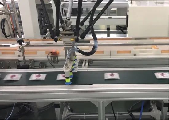 Smart Agv-Integrated Large-Scale Industrial Automated Delta Robot Packing Line - Image 6