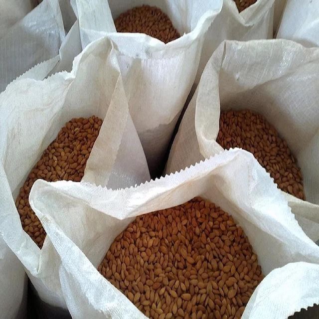 Cheap Price Wholesale Almond Nuts For Sale In bulk – product photo 3, product detail gallery