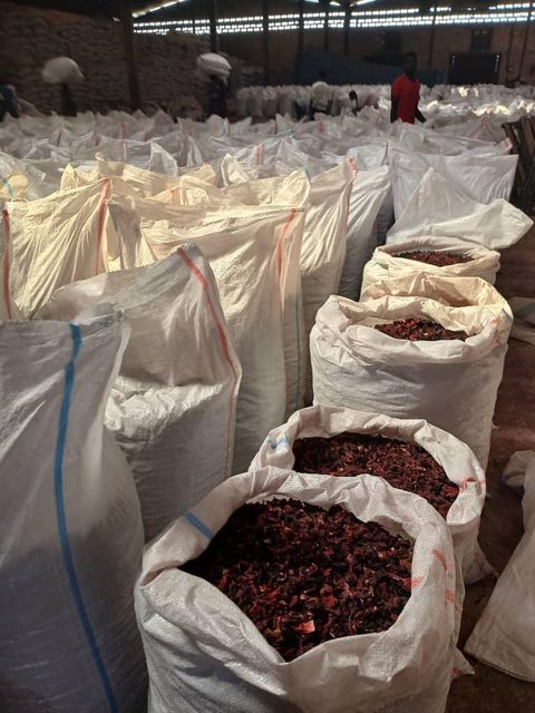 Dried Hibiscus Flowers (Hibiscus sabdariffa) Whole dried calyces (flower petals) Max Moisture: 5% Purity: 99% Max With Full Shape Petals Flowers - Image 3