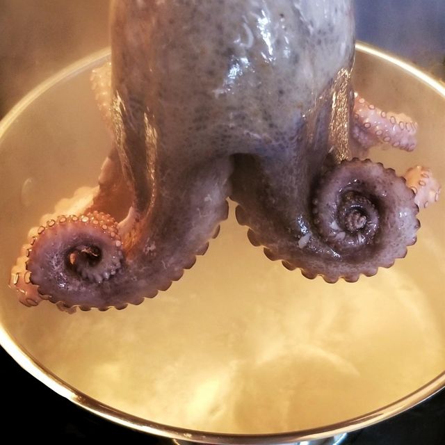 Frozen Fresh Octopus Frozen Under Advanced Processing Standards Delivering Reliable Quality For Seafood Import Demand - Image 5