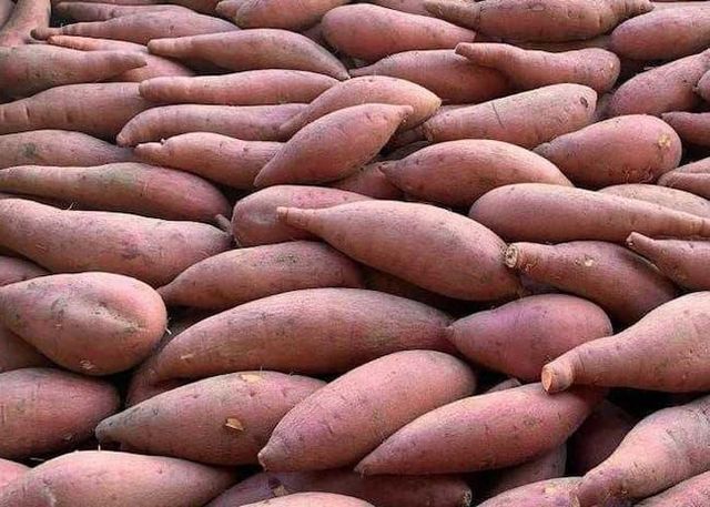 Sweet potato - Image 1