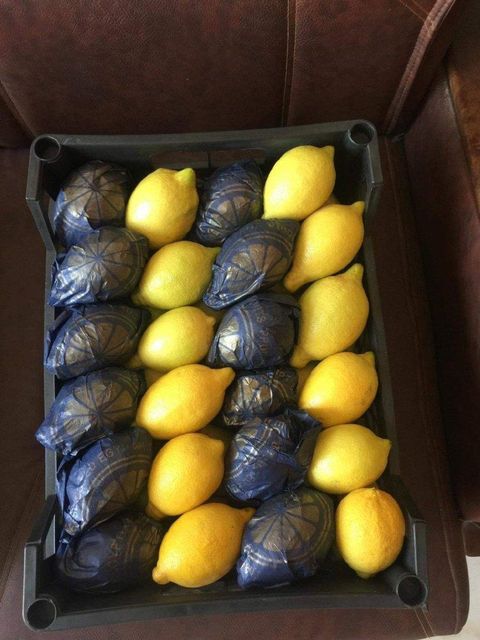 Lemon - Image 3