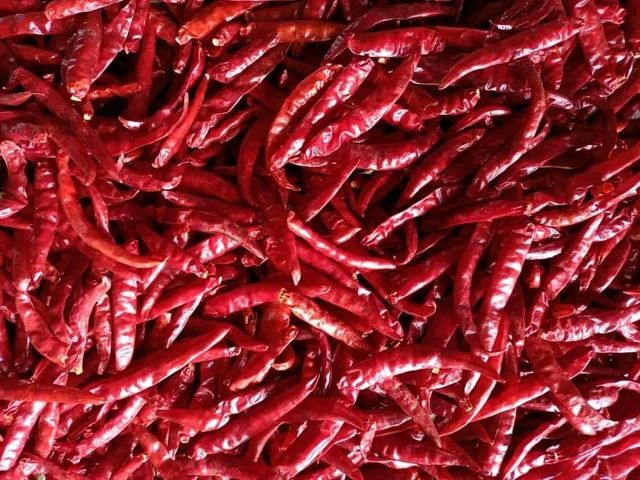 Red Chilli - Teja S17 Material Raw Shelf Life 12 months Place of Origin INDIA Max. Moisture (%) Below 12% Brand Name JRR - Image 6