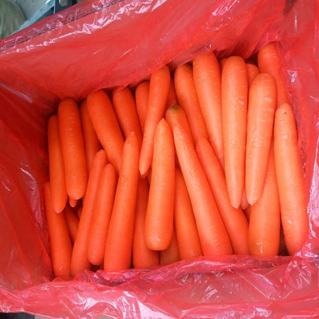 2026 Wholesale Fresh Carrot Cheap Price Exporters High Quality Vegetables New Fresh Carrots Hot Sale Product Made in China - Image 1