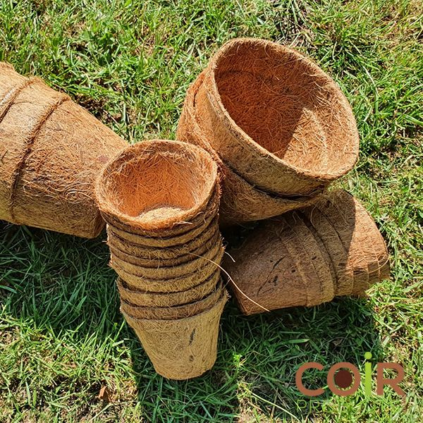 Coconut Coir Pot - Eco-Friendly & Biodegradable - Image 3