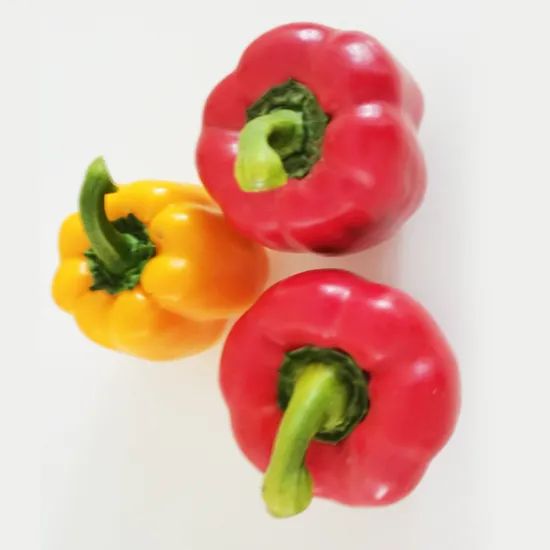 China Fresh Capsicum with Red/ Yellow/ Green Color - Image 3