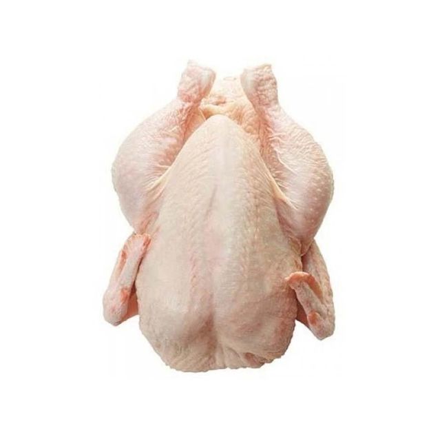 Fresh Frozen Chicken Whole and Parts Premium Top Quality For Sale Halal Frozen whole chicken Clean Whole Frozen Chicken - Image 4
