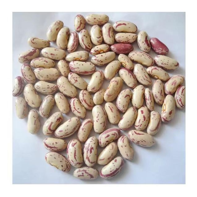 High Quality Dried Mottled Pinto Beans 25kg Food Grade in Bulk Packaging - Image 3