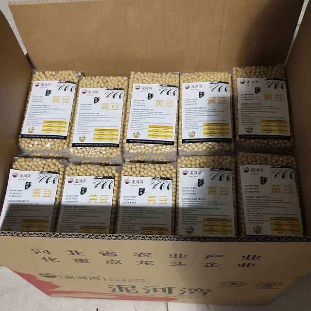 50kg Bag Sprouting and Food Grade Dry Yellow Soybean Seed Non Gmo Soybeans - Image 3