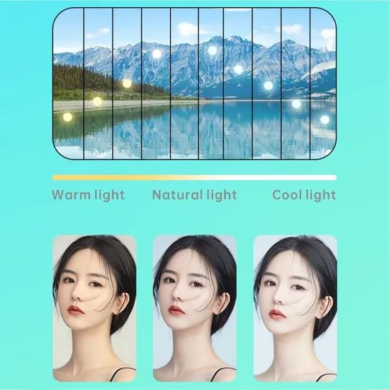 Dengwei Professional Ring Light with Phone Holder for Live Streaming - Image 5