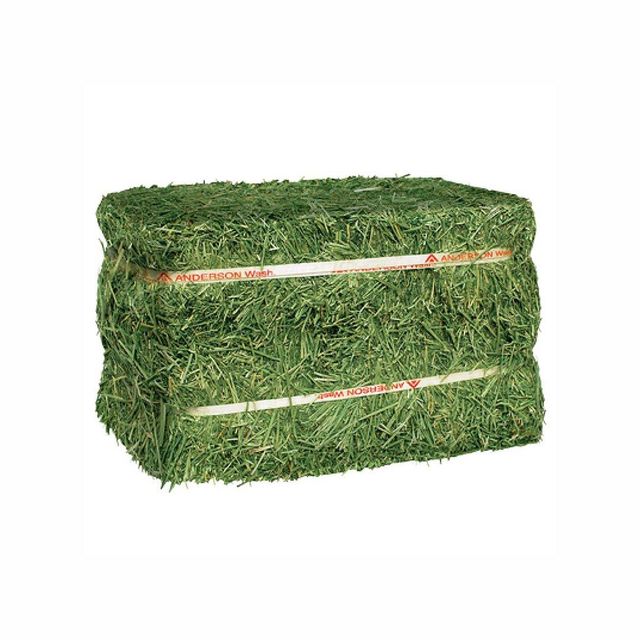 Bulk lucerne hay offered at competitive prices for global export markets - Image 5
