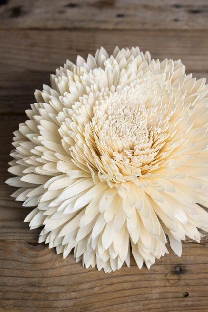 Sola Wood Flowers - Image 1
