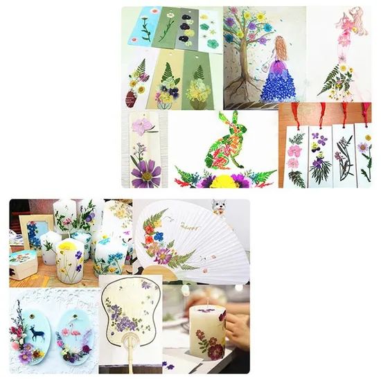 Wholesale Children's Flower Press Natural Crafts Wooden Art Kits Outdoor Learning Toys DIY Flower Press Kit - Image 3