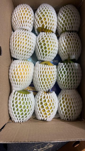 Alphonso Mango (Hapus) – Export Quality - Image 1